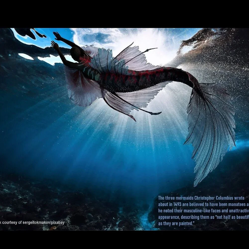 Mermaid Calendar 2027 Mermaid Pictures Mermaid Decor Mermaid Art
